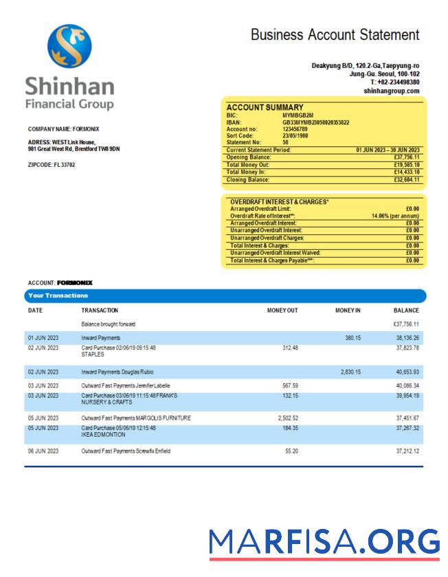 Blank Shinhan Financial Group enterprise statement Word and PDF template